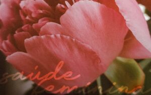 exames-preventivos-mulher-dra-monica-jorge-ginecologista-especialista-reproducao-humana-infertilidade-diagnostico