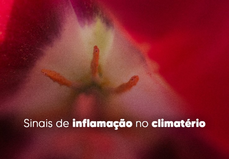 inflamacao-climaterio-dra-monica-jorge-ginecologista-especialista-reproducao-humana-infertilidade-diagnostico