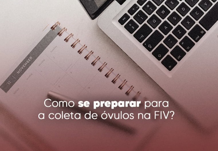 coleta-ovulos-na-fiv-dra-monica-jorge-ginecologista-especialista-reproducao-humana-infertilidade-diagnostico-fiv-fertilizacao-in-vitro-campinas